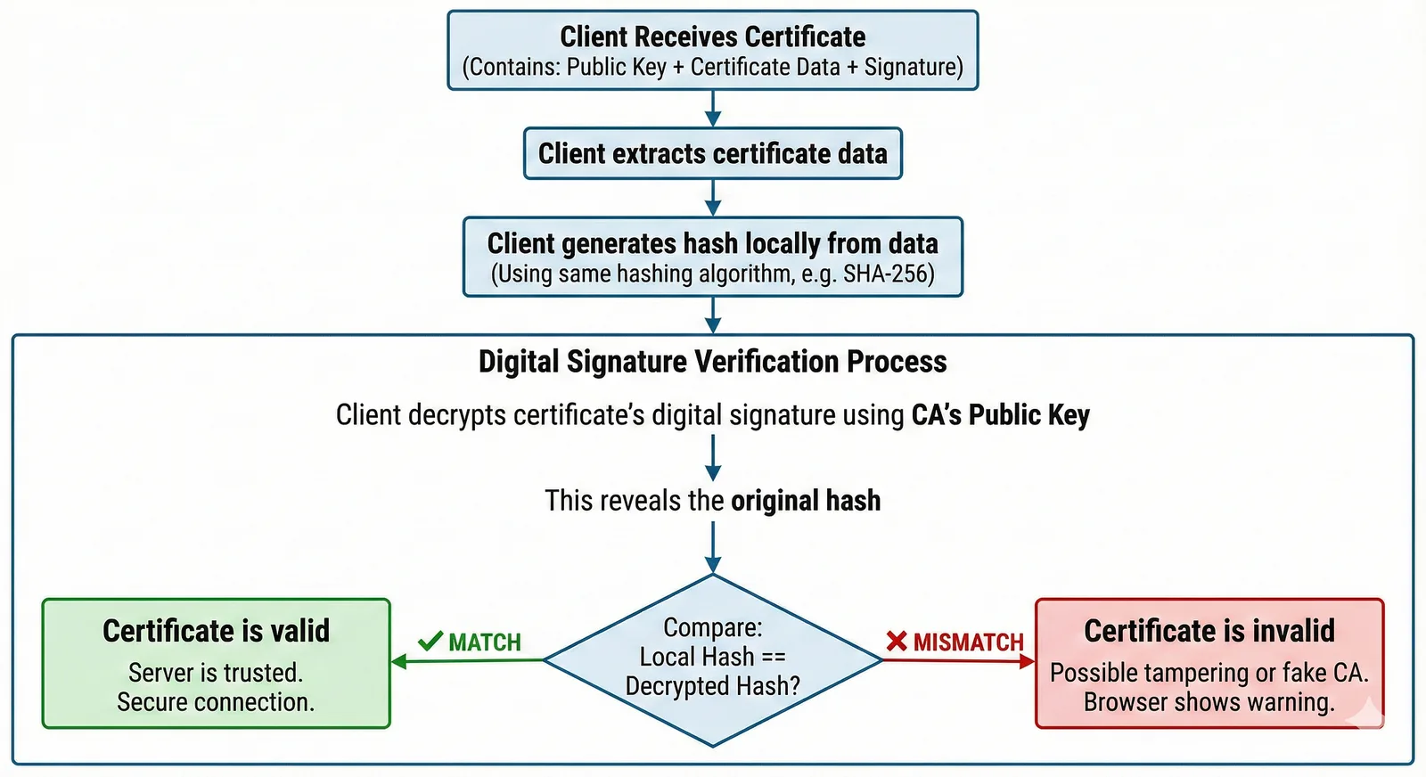 TLS Certificate Verification Flow